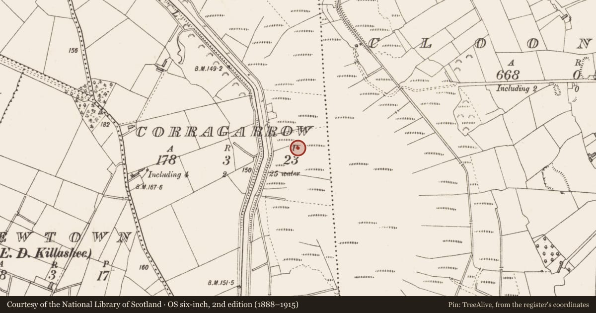Ordnance Survey six-inch map, 2nd edition (1888–1915) covering the location of Road - class 3 togher, Corragarrow, County Longford, with a pin at the register's coordinates