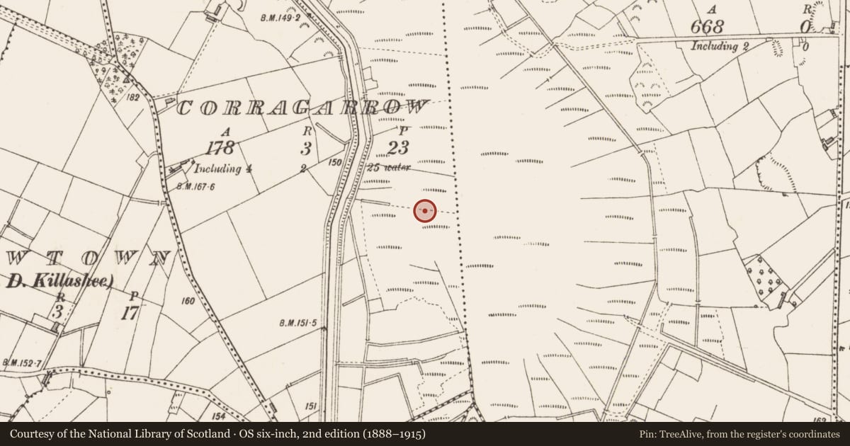 Ordnance Survey six-inch map, 2nd edition (1888–1915) covering the location of Structure - peatland, Corragarrow, County Longford, with a pin at the register's coordinates
