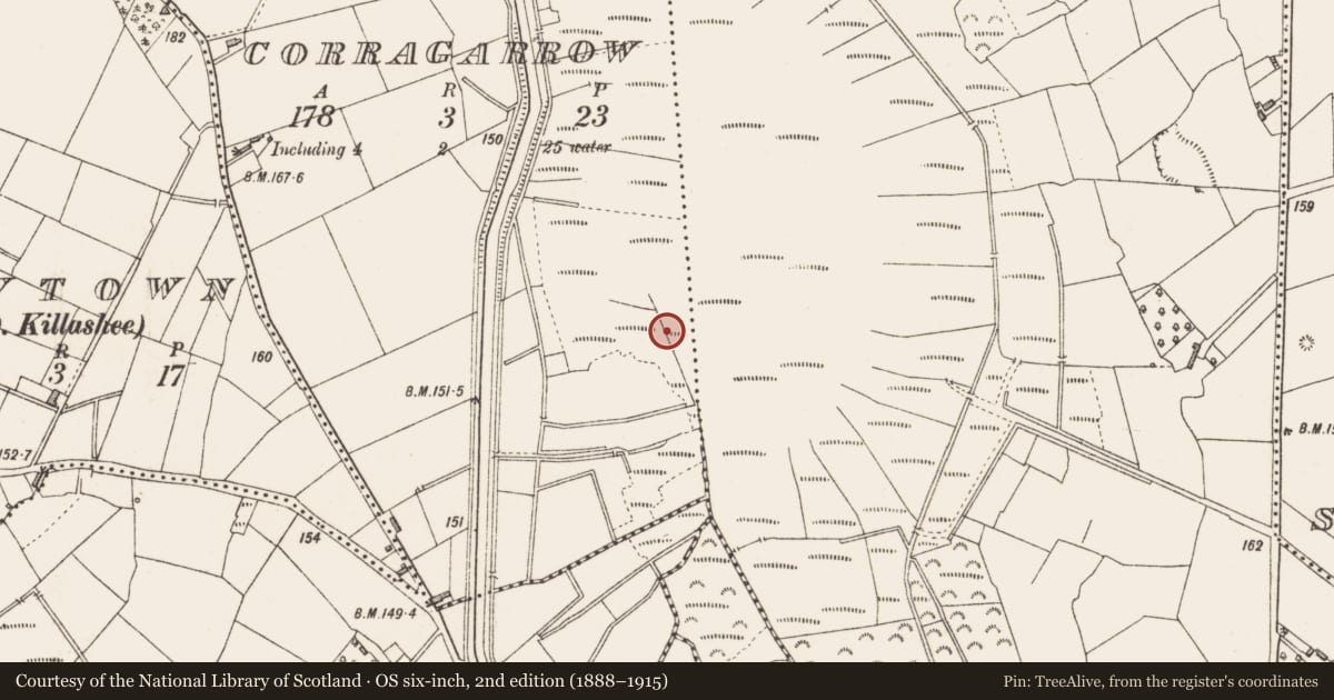 Ordnance Survey six-inch map, 2nd edition (1888–1915) covering the location of Post row - peatland, Corragarrow, County Longford, with a pin at the register's coordinates
