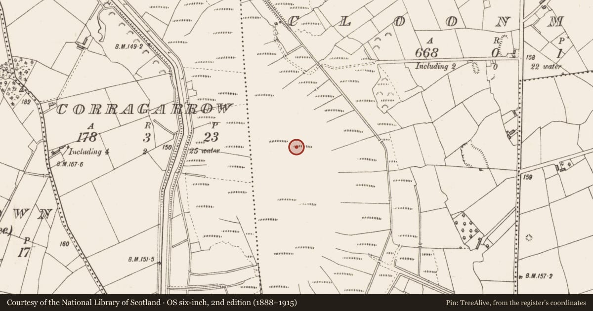 Ordnance Survey six-inch map, 2nd edition (1888–1915) covering the location of Road - class 1 togher, Cloonmore, Corragarrow, County Longford, with a pin at the register's coordinates