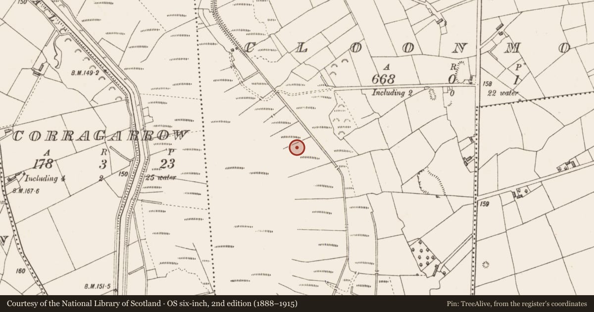 Ordnance Survey six-inch map, 2nd edition (1888–1915) covering the location of Road - class 2 togher, Cloonmore, County Longford, with a pin at the register's coordinates