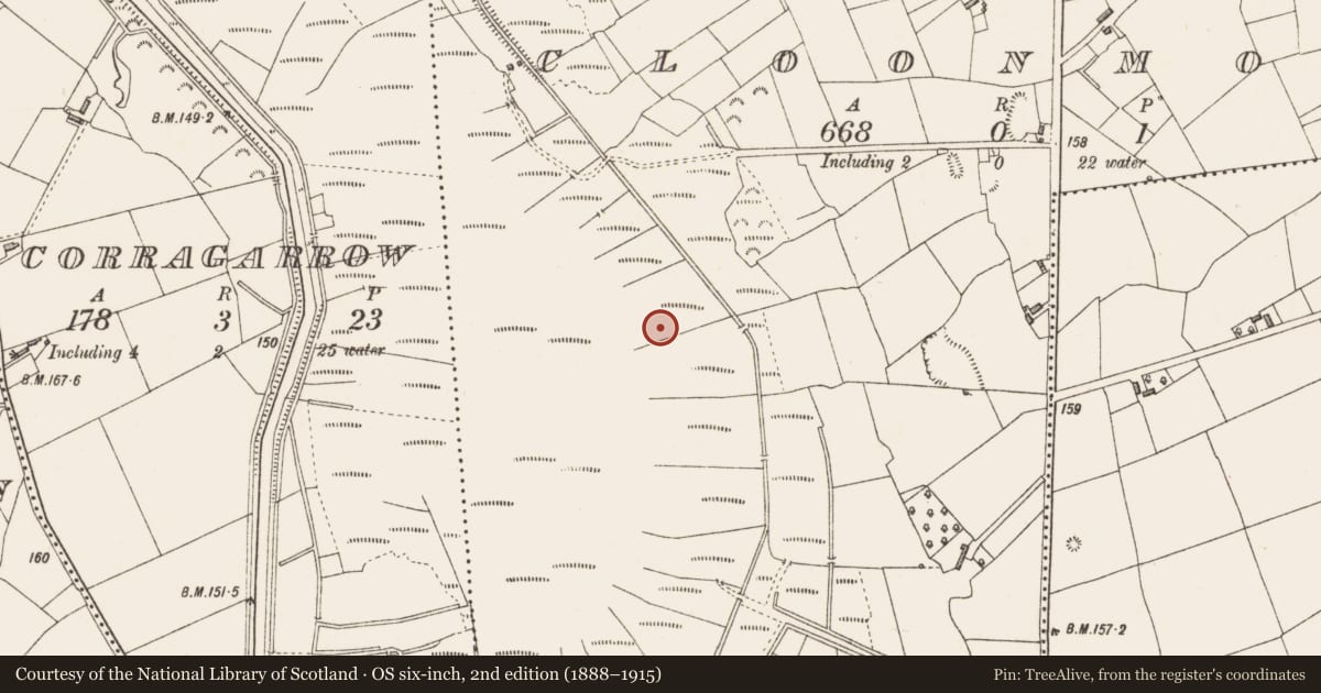 Ordnance Survey six-inch map, 2nd edition (1888–1915) covering the location of Road - class 3 togher, Cloonmore, County Longford, with a pin at the register's coordinates