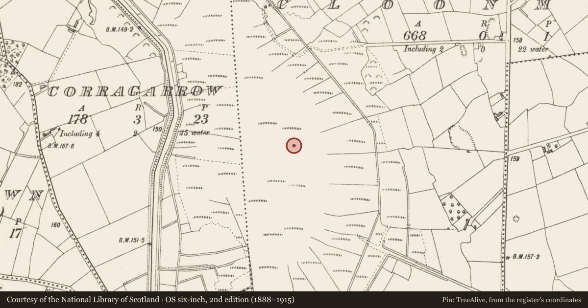 Ordnance Survey six-inch map, 2nd edition (1888–1915) covering the location of Road - class 3 togher, Cloonmore, County Longford, with a pin at the register's coordinates