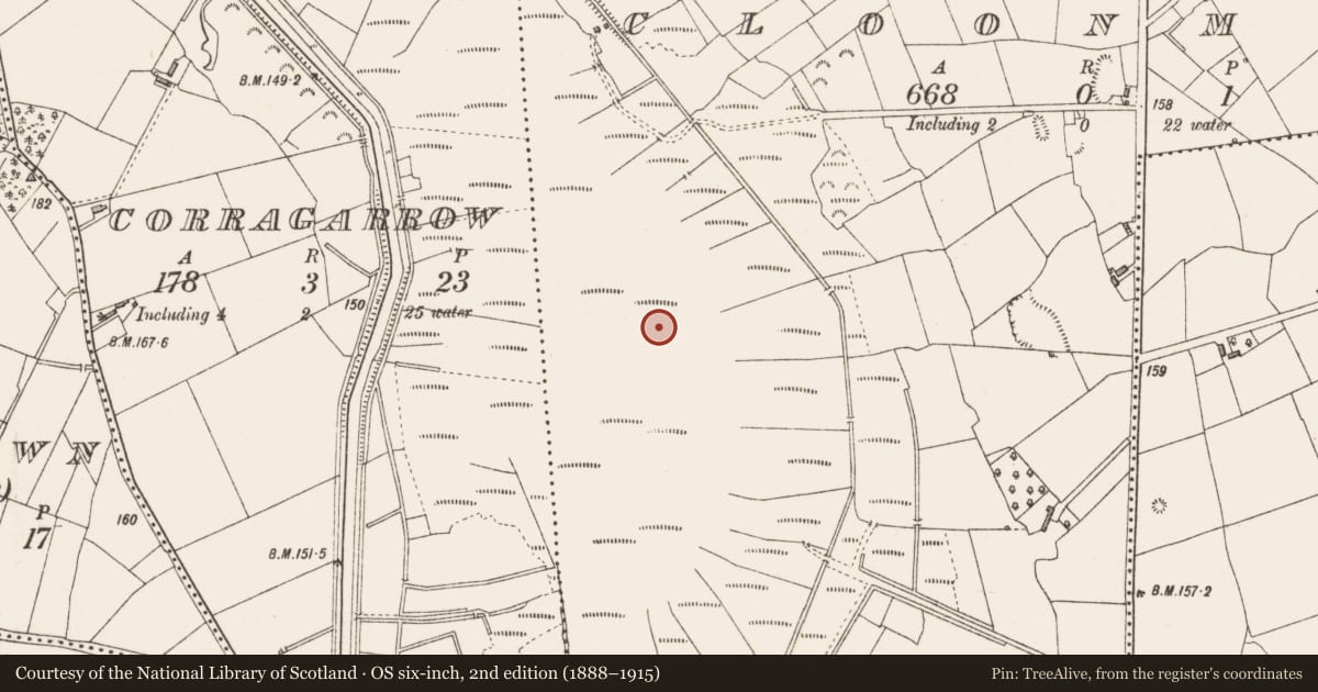 Ordnance Survey six-inch map, 2nd edition (1888–1915) covering the location of Road - class 3 togher, Cloonmore, County Longford, with a pin at the register's coordinates