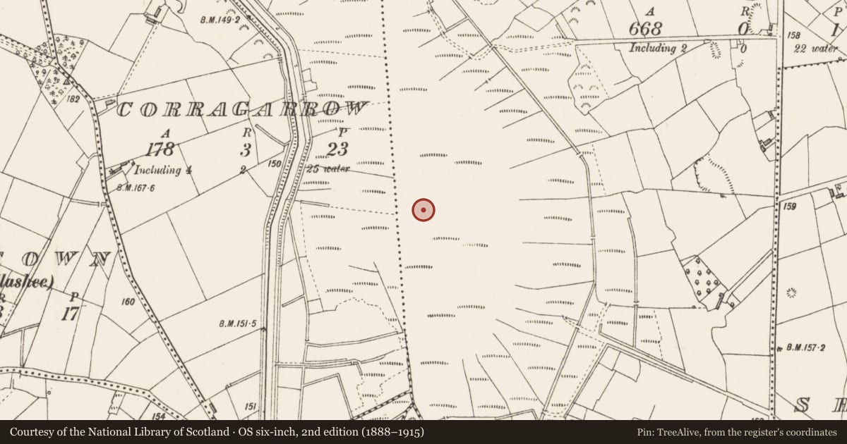 Ordnance Survey six-inch map, 2nd edition (1888–1915) covering the location of Road - class 2 togher, Cloonmore, County Longford, with a pin at the register's coordinates