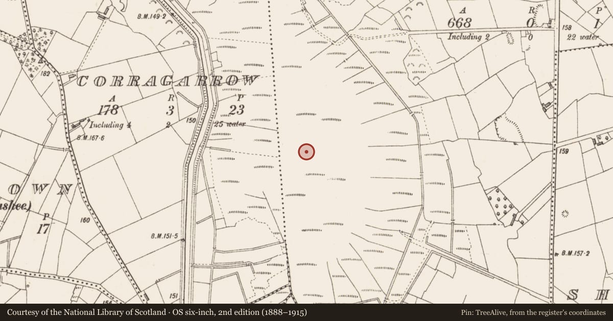 Ordnance Survey six-inch map, 2nd edition (1888–1915) covering the location of Structure - peatland, Cloonmore, County Longford, with a pin at the register's coordinates