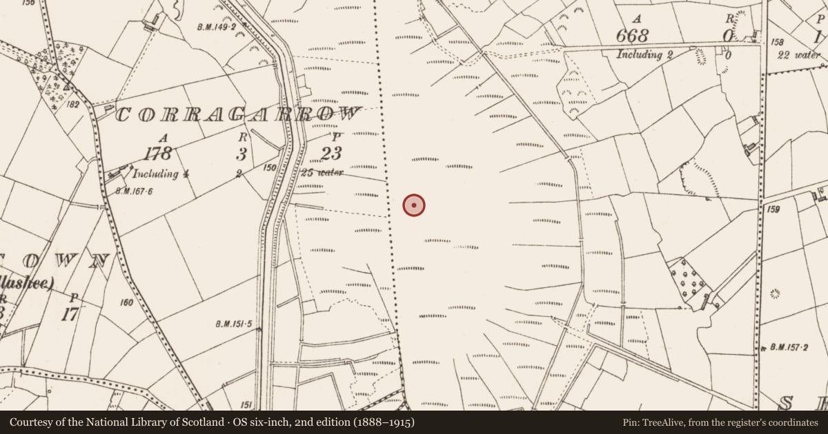 Ordnance Survey six-inch map, 2nd edition (1888–1915) covering the location of Road - class 3 togher, Cloonmore, County Longford, with a pin at the register's coordinates