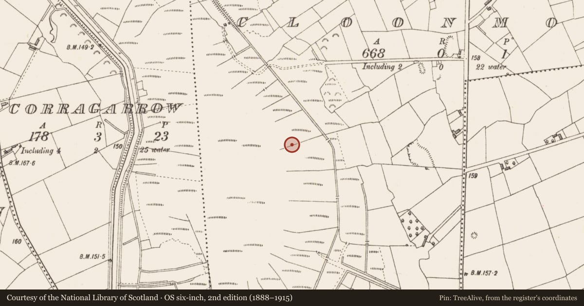 Ordnance Survey six-inch map, 2nd edition (1888–1915) covering the location of Road - class 3 togher, Cloonmore, County Longford, with a pin at the register's coordinates