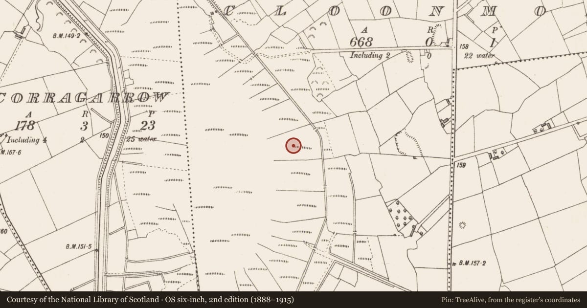 Ordnance Survey six-inch map, 2nd edition (1888–1915) covering the location of Structure - peatland, Cloonmore, County Longford, with a pin at the register's coordinates