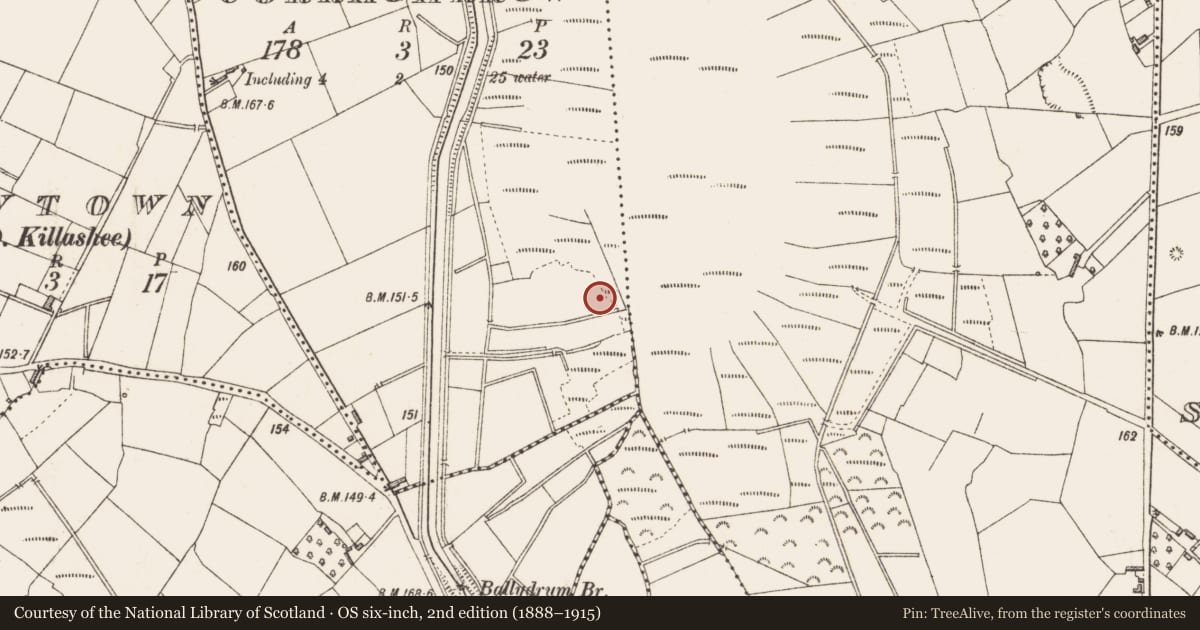 Ordnance Survey six-inch map, 2nd edition (1888–1915) covering the location of Structure - peatland, Corragarrow, County Longford, with a pin at the register's coordinates