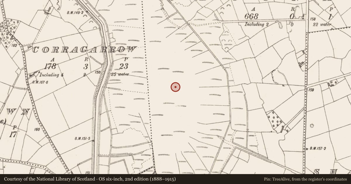 Ordnance Survey six-inch map, 2nd edition (1888–1915) covering the location of Road - class 3 togher, Cloonmore, County Longford, with a pin at the register's coordinates