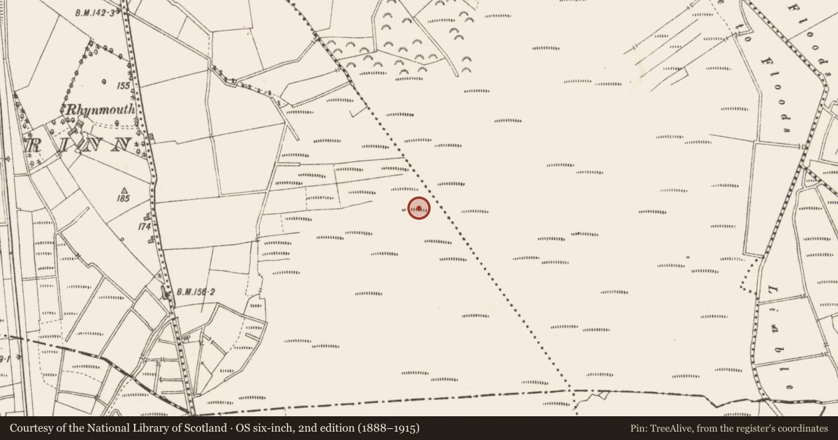 Ordnance Survey six-inch map, 2nd edition (1888–1915) covering the location of Structure - peatland, Aghnagore, County Longford, with a pin at the register's coordinates