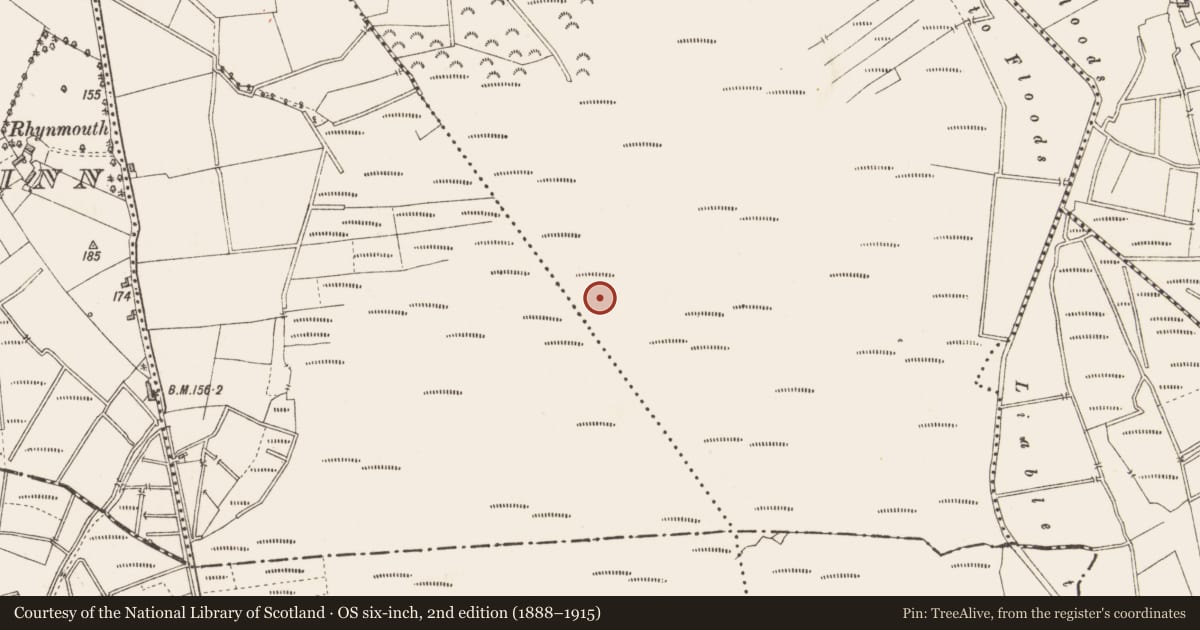 Ordnance Survey six-inch map, 2nd edition (1888–1915) covering the location of Structure - peatland, Slieve, County Longford, with a pin at the register's coordinates