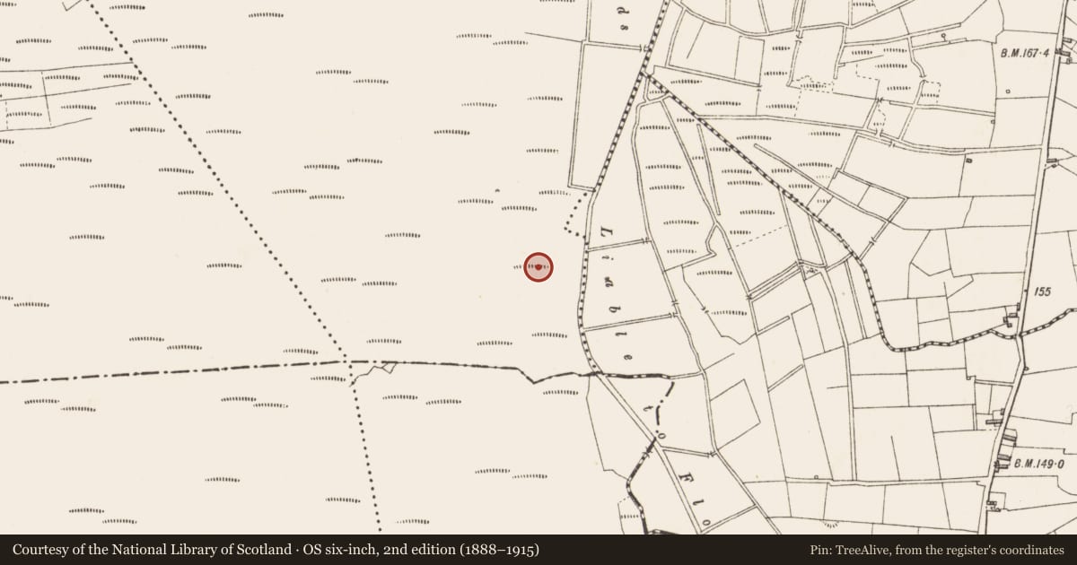 Ordnance Survey six-inch map, 2nd edition (1888–1915) covering the location of Structure - peatland, Slieve, County Longford, with a pin at the register's coordinates