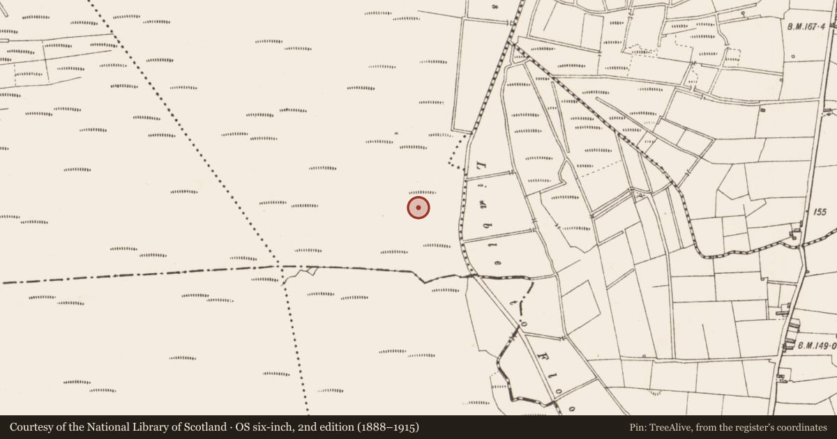 Ordnance Survey six-inch map, 2nd edition (1888–1915) covering the location of Structure - peatland, Slieve, County Longford, with a pin at the register's coordinates