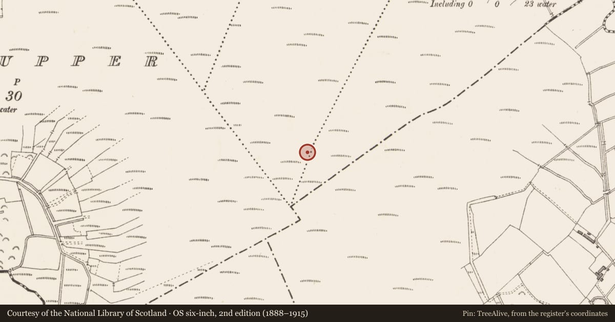 Ordnance Survey six-inch map, 2nd edition (1888–1915) covering the location of Structure - peatland, Aghareagh Bog, County Longford, with a pin at the register's coordinates