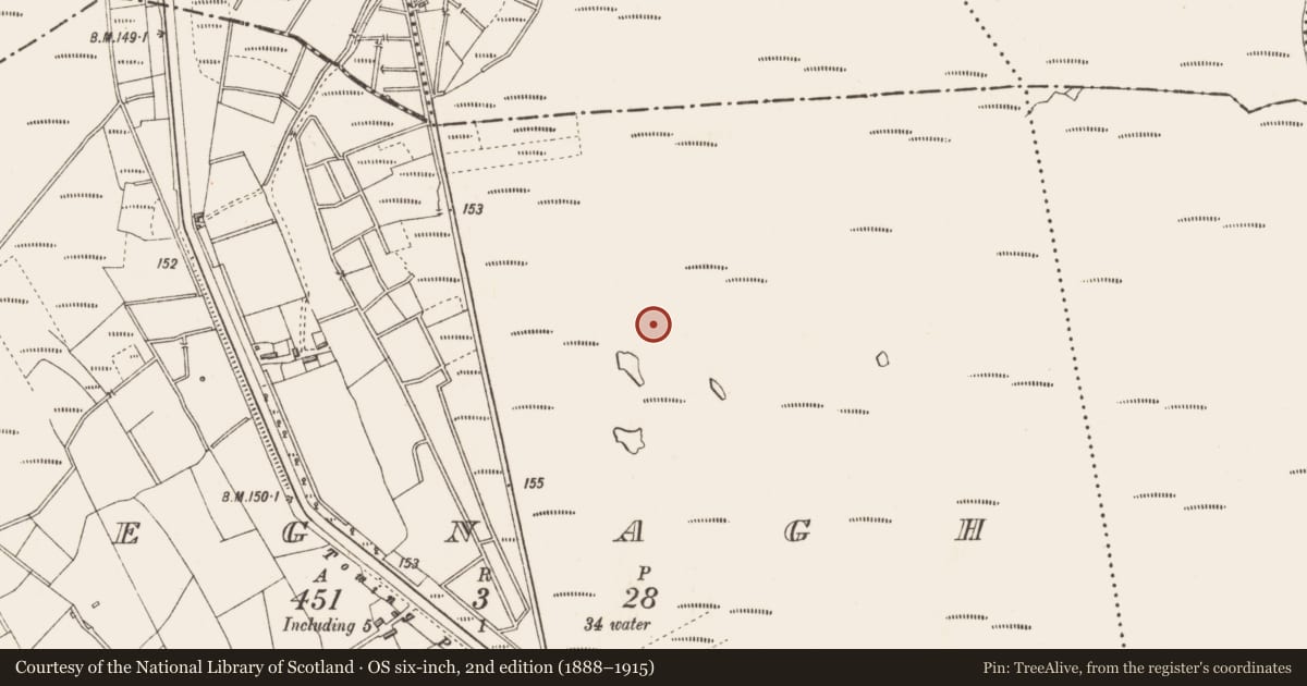 Ordnance Survey six-inch map, 2nd edition (1888–1915) covering the location of Structure - peatland, Begnagh, County Longford, with a pin at the register's coordinates