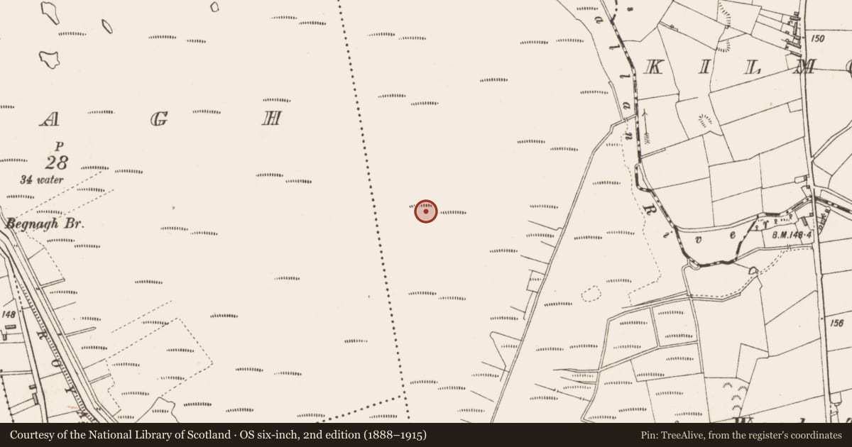 Ordnance Survey six-inch map, 2nd edition (1888–1915) covering the location of Structure - peatland, Cloonmore, County Longford, with a pin at the register's coordinates