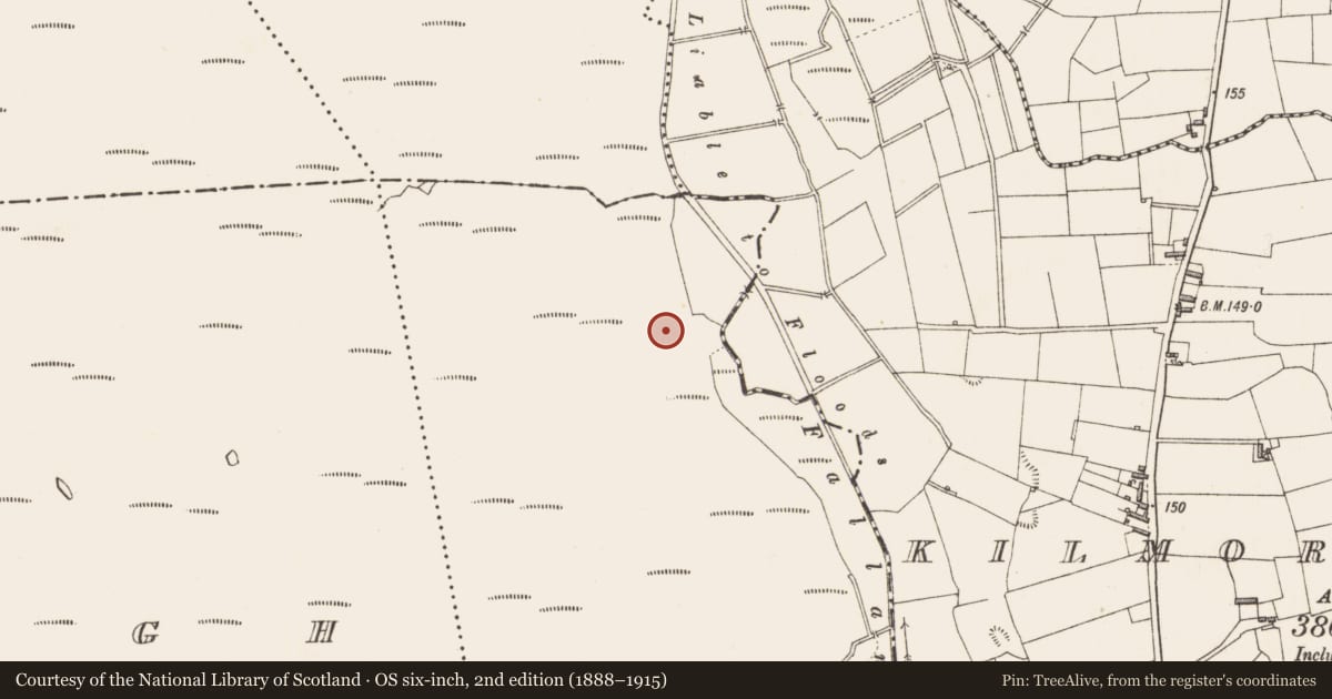 Ordnance Survey six-inch map, 2nd edition (1888–1915) covering the location of Structure - peatland, Cloonmore, County Longford, with a pin at the register's coordinates
