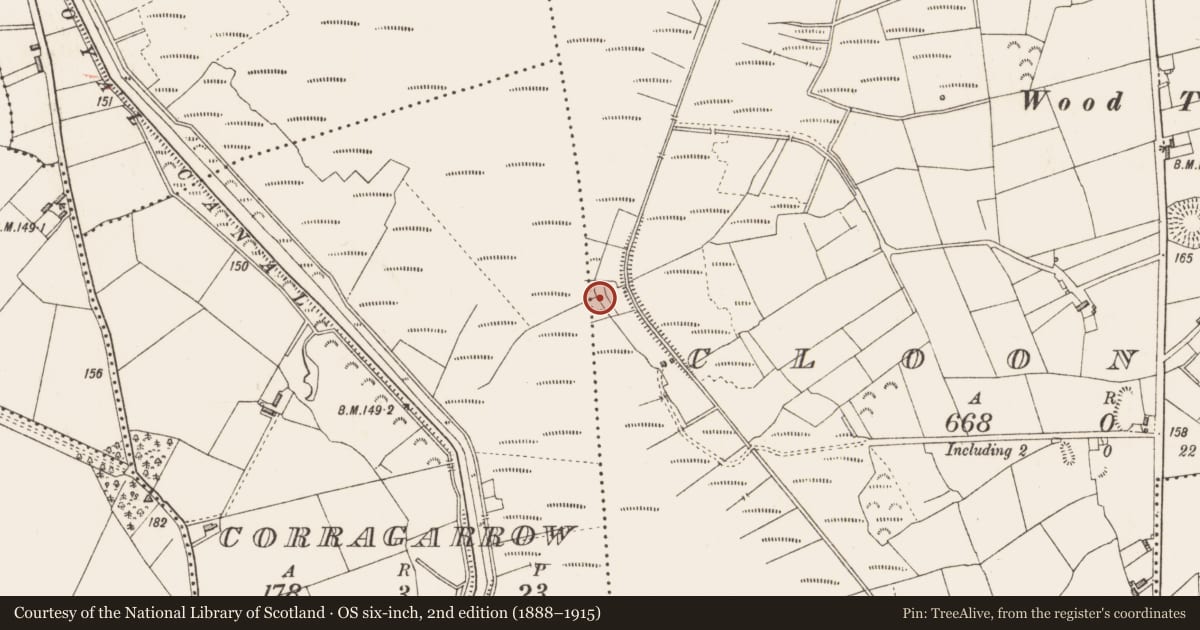 Ordnance Survey six-inch map, 2nd edition (1888–1915) covering the location of Structure - peatland, Cloonmore, County Longford, with a pin at the register's coordinates