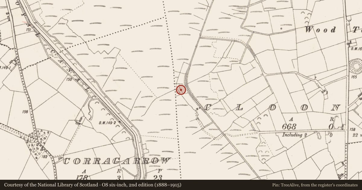Ordnance Survey six-inch map, 2nd edition (1888–1915) covering the location of Structure - peatland, Cloonmore, County Longford, with a pin at the register's coordinates