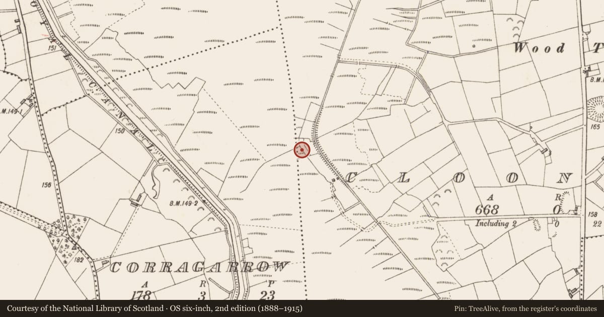 Ordnance Survey six-inch map, 2nd edition (1888–1915) covering the location of Road - class 3 togher, Cloonmore, County Longford, with a pin at the register's coordinates