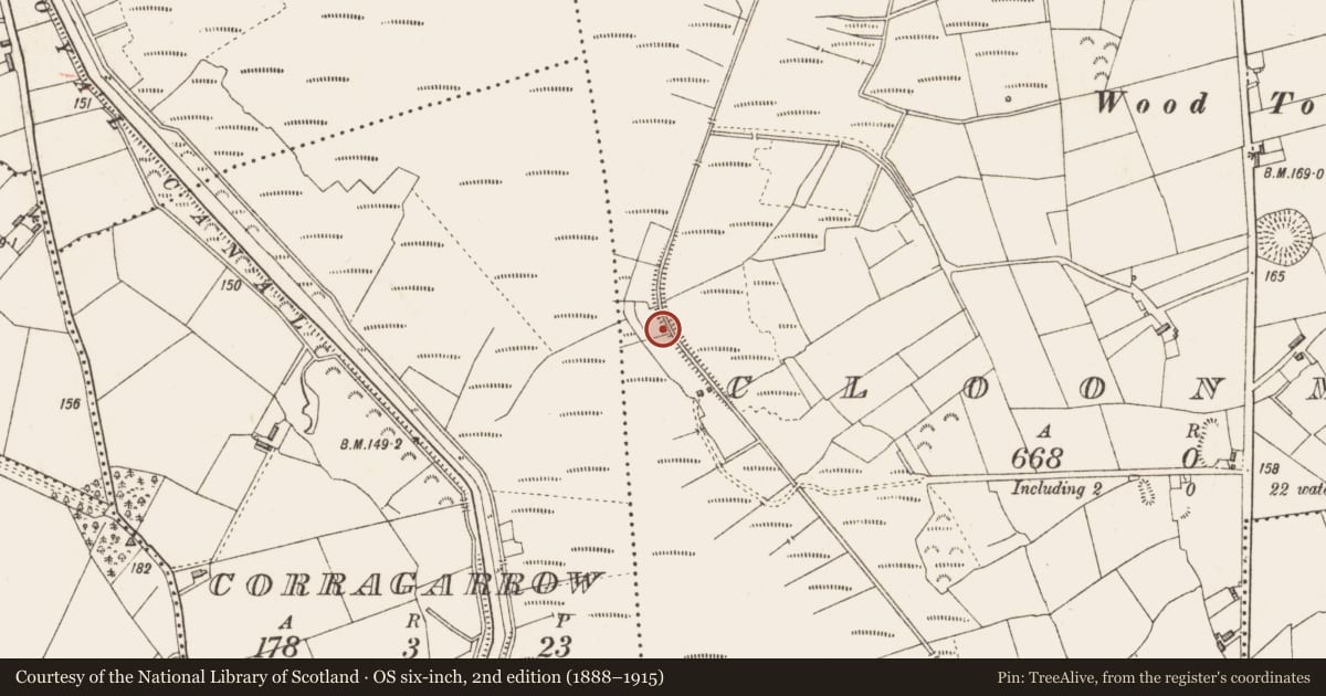 Ordnance Survey six-inch map, 2nd edition (1888–1915) covering the location of Road - class 3 togher, Cloonmore, County Longford, with a pin at the register's coordinates