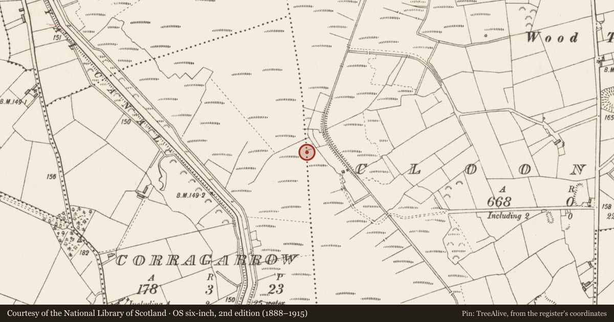 Ordnance Survey six-inch map, 2nd edition (1888–1915) covering the location of Road - class 3 togher, Corragarrow, County Longford, with a pin at the register's coordinates