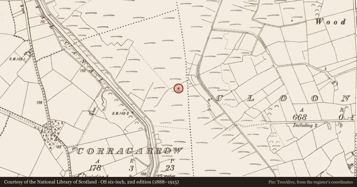 Ordnance Survey six-inch map, 2nd edition (1888–1915) covering the location of Road - class 3 togher, Corragarrow, County Longford, with a pin at the register's coordinates