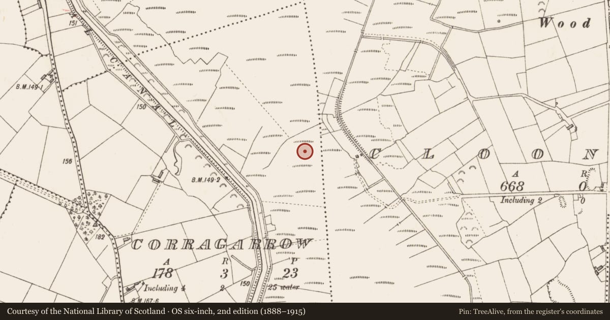 Ordnance Survey six-inch map, 2nd edition (1888–1915) covering the location of Road - class 3 togher, Corragarrow, County Longford, with a pin at the register's coordinates