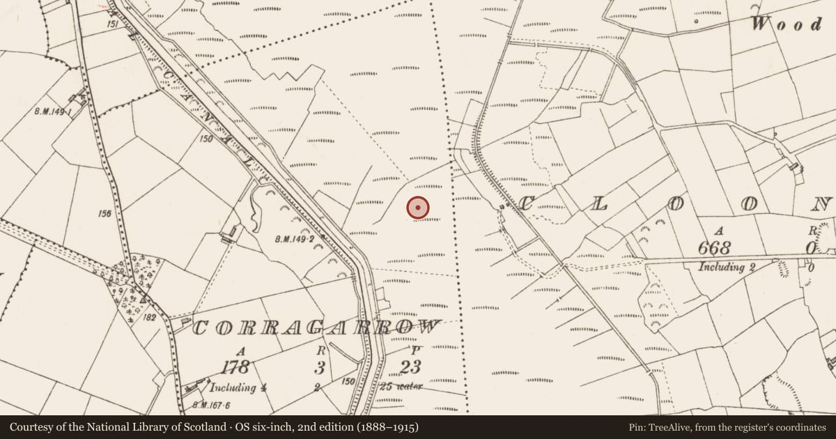 Ordnance Survey six-inch map, 2nd edition (1888–1915) covering the location of Structure - peatland, Corragarrow, County Longford, with a pin at the register's coordinates