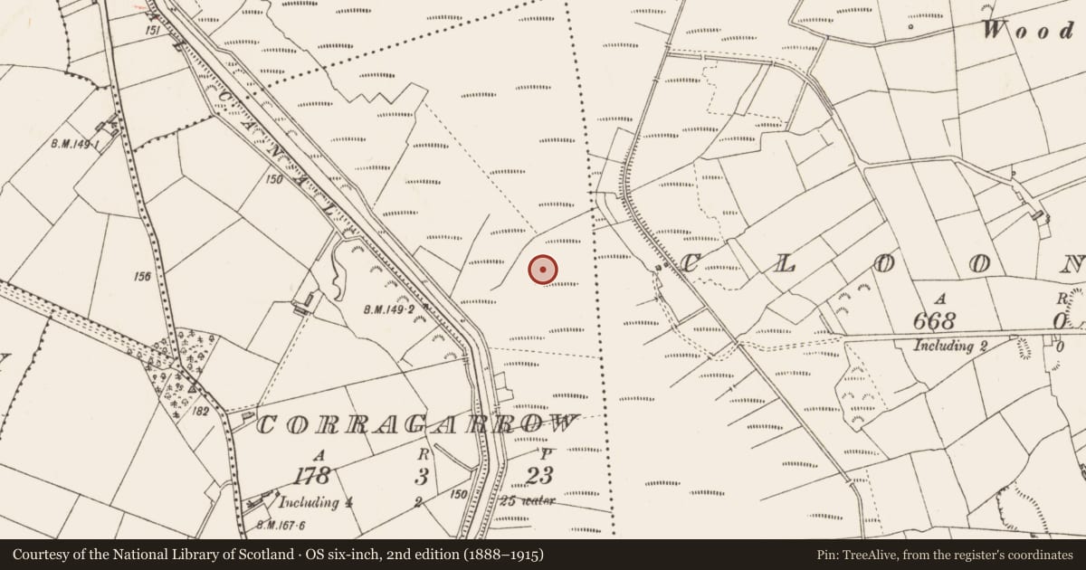 Ordnance Survey six-inch map, 2nd edition (1888–1915) covering the location of Road - class 3 togher, Corragarrow, County Longford, with a pin at the register's coordinates