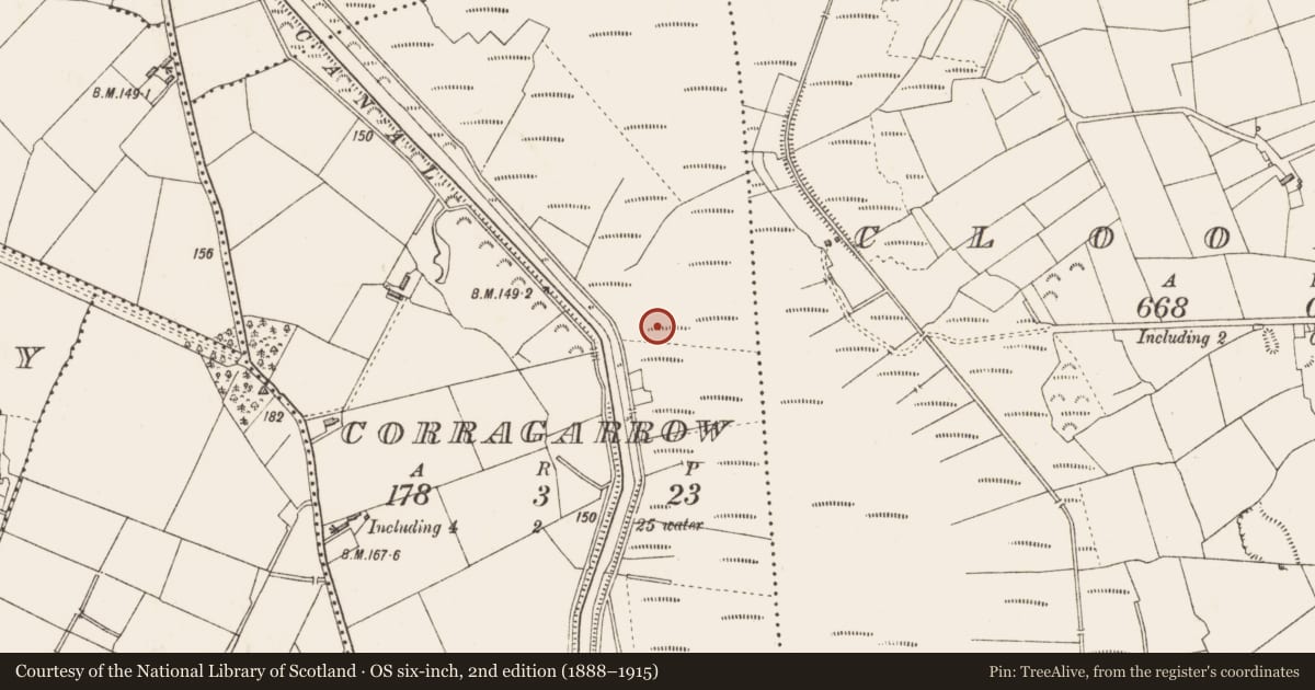 Ordnance Survey six-inch map, 2nd edition (1888–1915) covering the location of Road - class 3 togher, Corragarrow, County Longford, with a pin at the register's coordinates