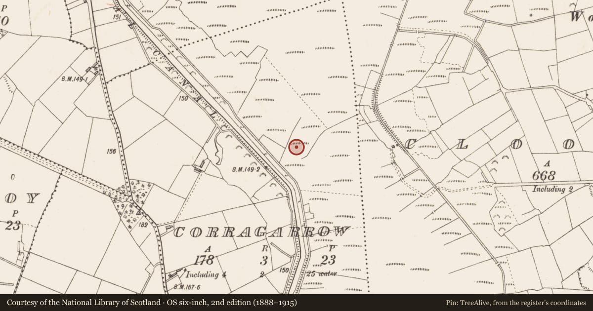 Ordnance Survey six-inch map, 2nd edition (1888–1915) covering the location of Structure - peatland, Corragarrow, County Longford, with a pin at the register's coordinates