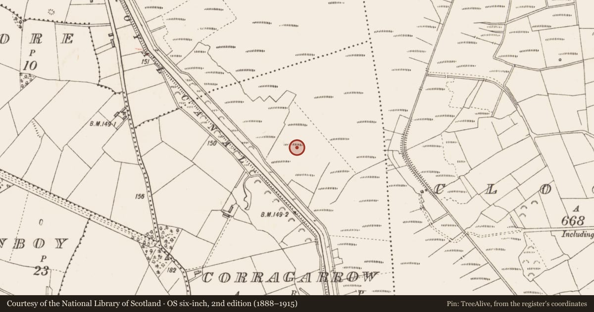 Ordnance Survey six-inch map, 2nd edition (1888–1915) covering the location of Road - class 3 togher, Corragarrow, County Longford, with a pin at the register's coordinates