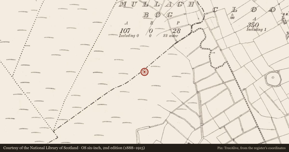 Ordnance Survey six-inch map, 2nd edition (1888–1915) covering the location of Structure - peatland, Clooneeny, County Longford, with a pin at the register's coordinates
