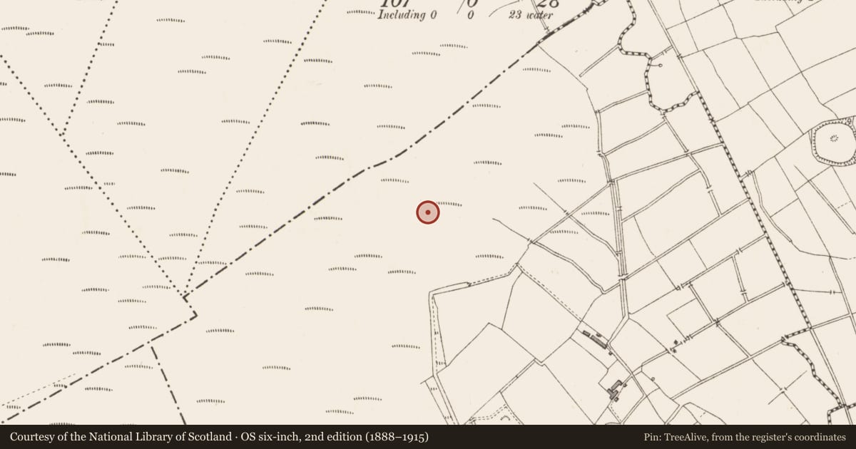 Ordnance Survey six-inch map, 2nd edition (1888–1915) covering the location of Structure - peatland, Clooneeny, County Longford, with a pin at the register's coordinates