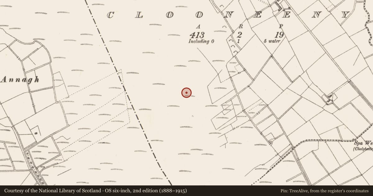 Ordnance Survey six-inch map, 2nd edition (1888–1915) covering the location of Structure - peatland, Clooneeny, County Longford, with a pin at the register's coordinates