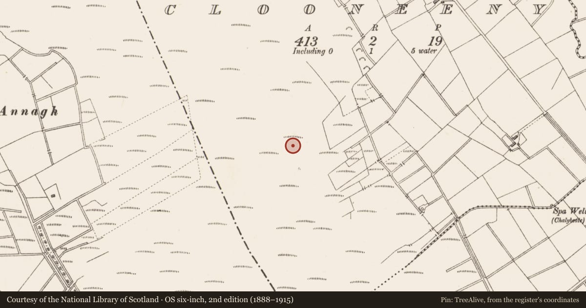 Ordnance Survey six-inch map, 2nd edition (1888–1915) covering the location of Structure - peatland, Clooneeny, County Longford, with a pin at the register's coordinates