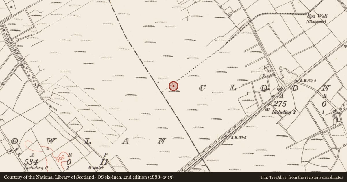 Ordnance Survey six-inch map, 2nd edition (1888–1915) covering the location of Structure - peatland, Clooneeny, County Longford, with a pin at the register's coordinates