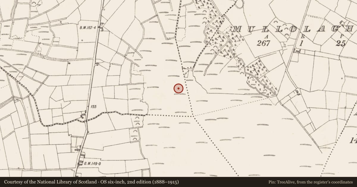 Ordnance Survey six-inch map, 2nd edition (1888–1915) covering the location of Road - class 3 togher, Kilmore Lower, County Longford, with a pin at the register's coordinates