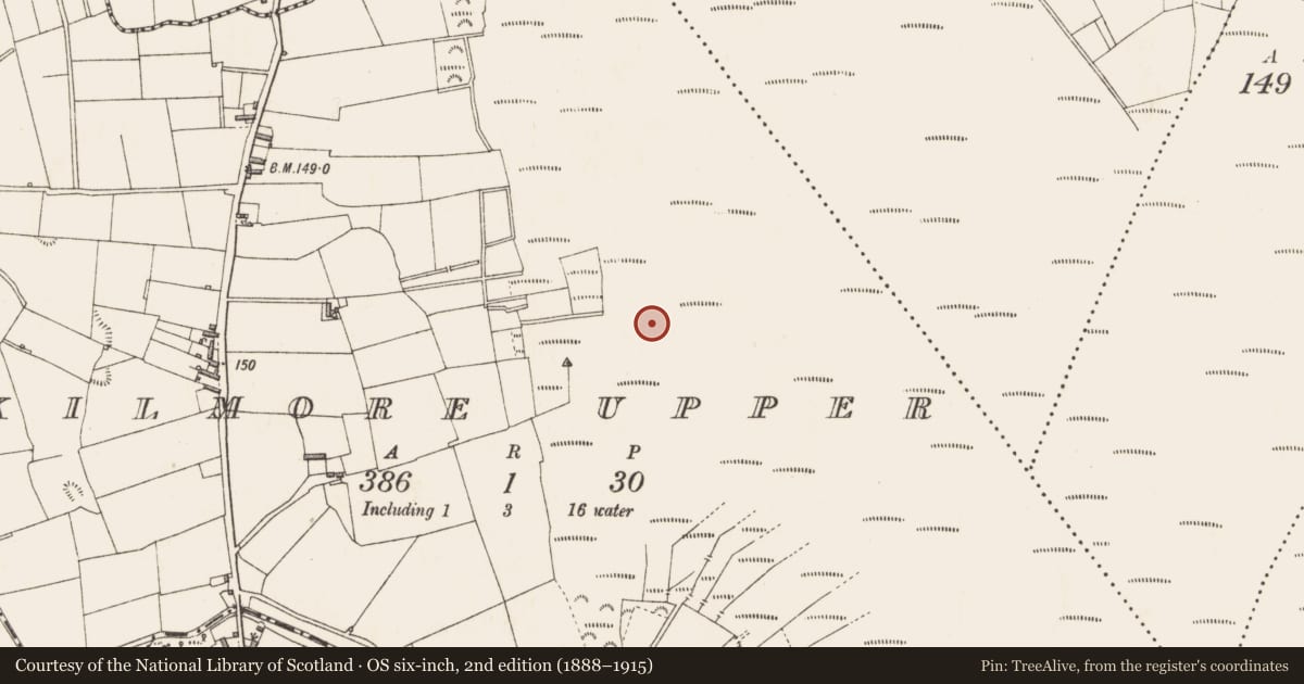 Ordnance Survey six-inch map, 2nd edition (1888–1915) covering the location of Structure - peatland, Kilmore Upper, County Longford, with a pin at the register's coordinates
