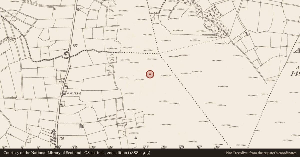Ordnance Survey six-inch map, 2nd edition (1888–1915) covering the location of Structure - peatland, Kilmore Upper, County Longford, with a pin at the register's coordinates