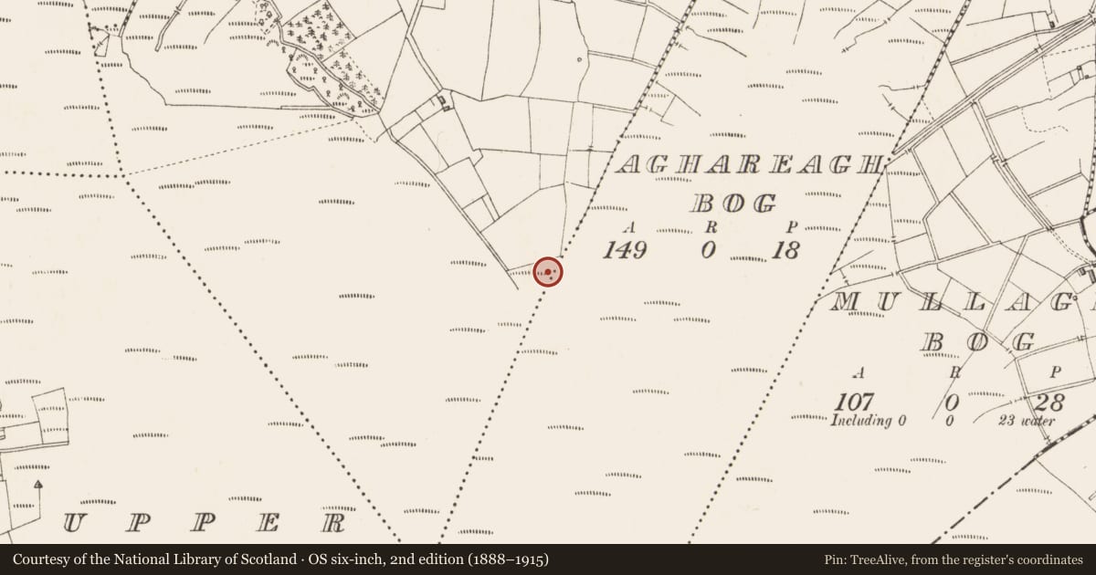 Ordnance Survey six-inch map, 2nd edition (1888–1915) covering the location of Post row - peatland, Mullolagher, County Longford, with a pin at the register's coordinates