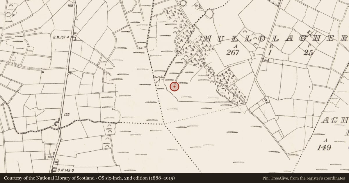 Ordnance Survey six-inch map, 2nd edition (1888–1915) covering the location of Structure - peatland, Mullolagher, County Longford, with a pin at the register's coordinates