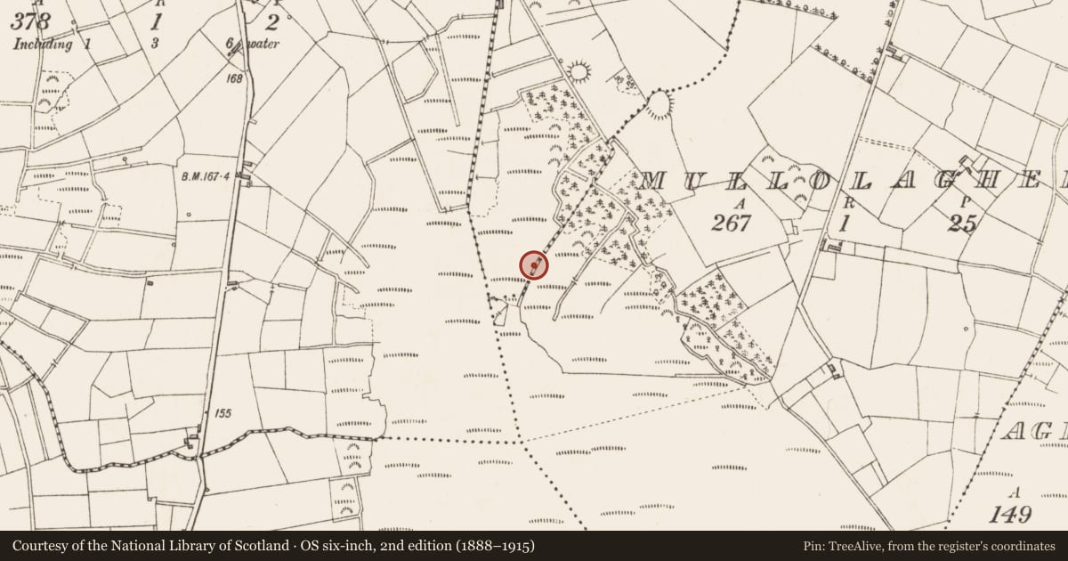 Ordnance Survey six-inch map, 2nd edition (1888–1915) covering the location of Post row - peatland, Cartronlebagh, County Longford, with a pin at the register's coordinates