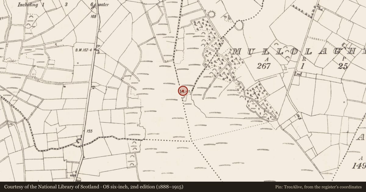 Ordnance Survey six-inch map, 2nd edition (1888–1915) covering the location of Structure - peatland, Cartronlebagh, County Longford, with a pin at the register's coordinates