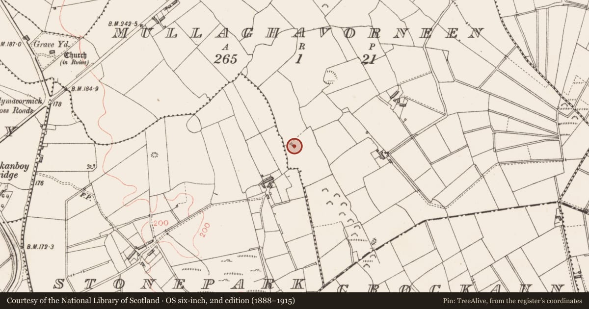 Ordnance Survey six-inch map, 2nd edition (1888–1915) covering the location of Fulacht fia, Mullaghavorneen, County Longford, with a pin at the register's coordinates