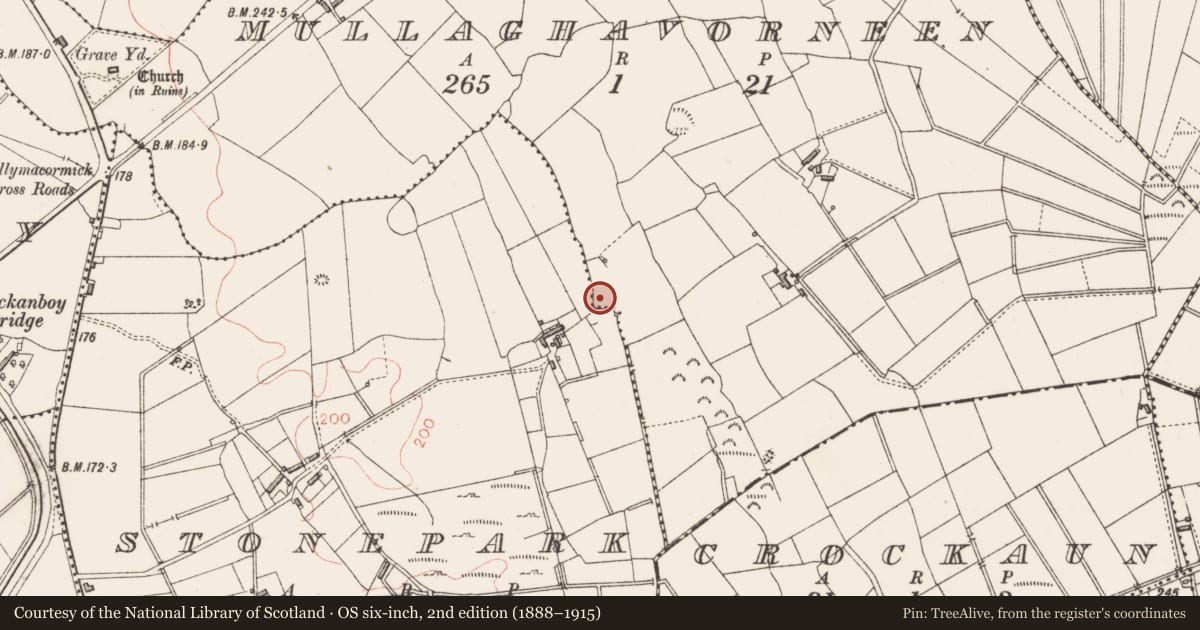 Ordnance Survey six-inch map, 2nd edition (1888–1915) covering the location of Burnt spread, Mullaghavorneen, County Longford, with a pin at the register's coordinates
