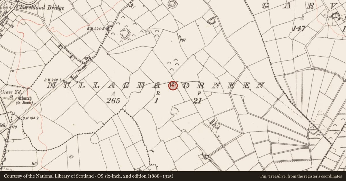 Ordnance Survey six-inch map, 2nd edition (1888–1915) covering the location of Burnt spread, Mullaghavorneen, County Longford, with a pin at the register's coordinates